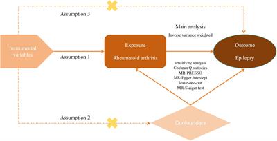 Causal relationship between rheumatoid arthritis and epilepsy in a European population: a univariate and multivariate Mendelian randomization study